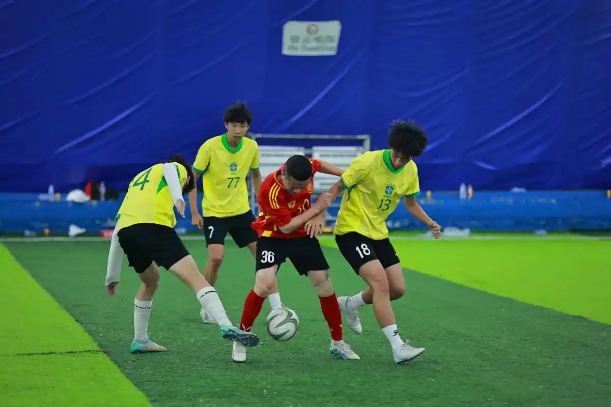 雨燕直播免费看